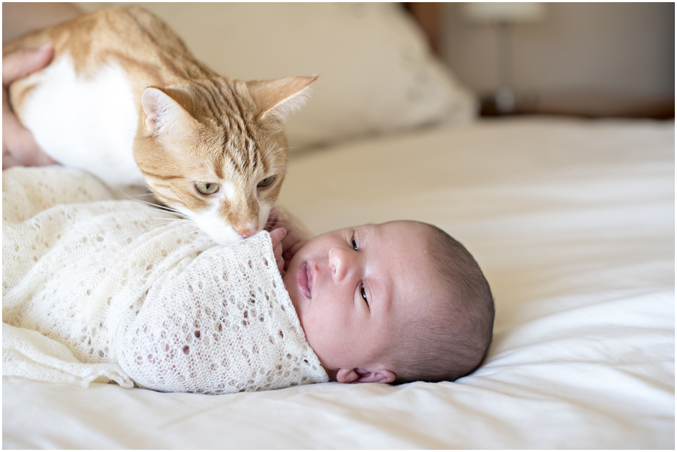 Camden Newborn Photographer, Camden Family Photographer, www.angieduncan.com.au